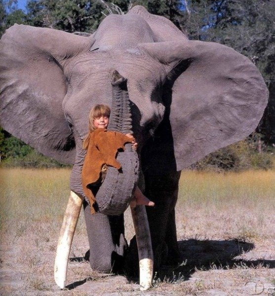 Tippi joue avec abu l'éléphant Tippi joue avec abu l'éléphant